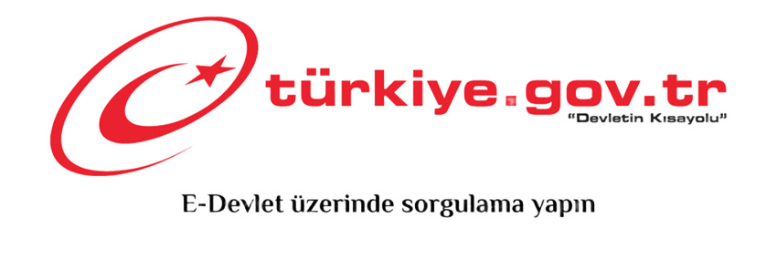 E-Devlet Üzerinden Sorgulama