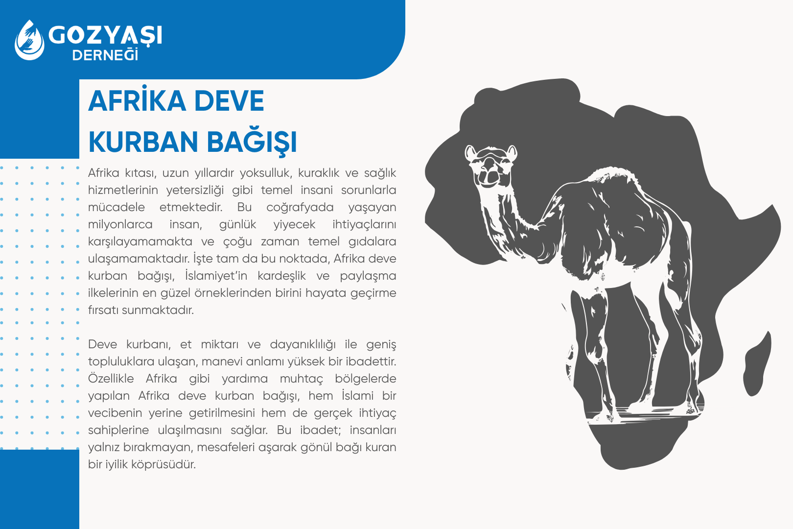 AFRİKA DEVE KURBAN BAĞIŞI