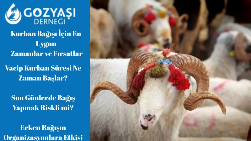 Kurban Bağışı İçin En Uygun Zamanlar ve Fırsatlar